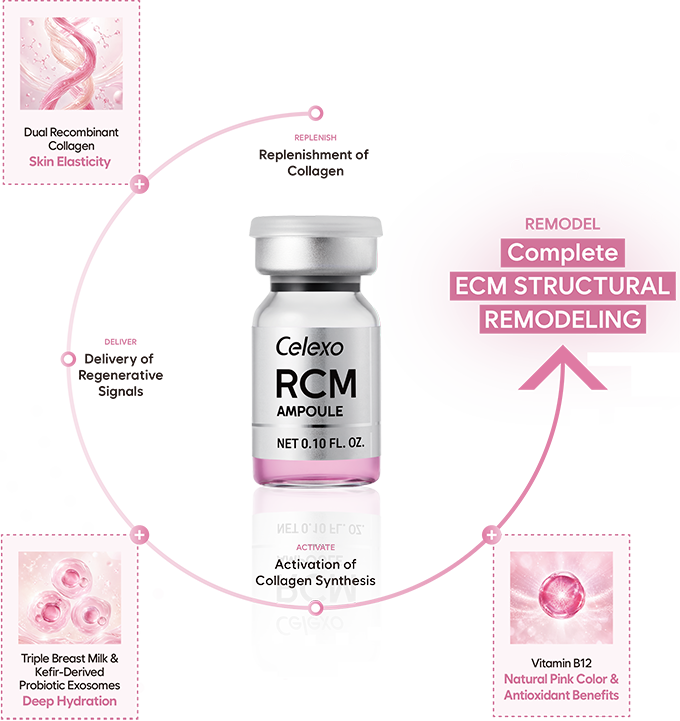 Ampolla Celexo RCM y diagrama de remodelación estructural de ECM con colágeno recombinante, exosomas probióticos y vitamina B12